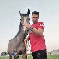مجموعه پرورش اسب دلار