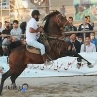 مرکز پرورش اسب