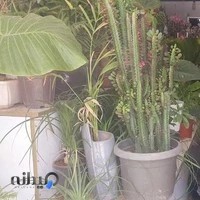 گلسرای یاس