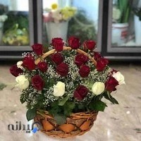 گلسرای لیلیوم