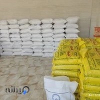 برنج فجر و هاشمی