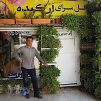 گل سرای ارکیده