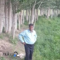 چوب فروشی حاج عبدالله نصیری