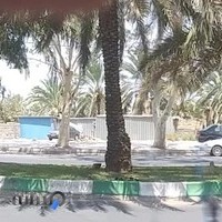 املاک‌جاوید