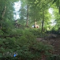 شبکه بهداشت و درمان فلاورجان