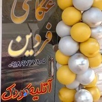 عکاسی فردین