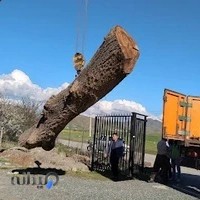 چوبفروشی سلیمانی