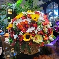 گالری گل دلاریس