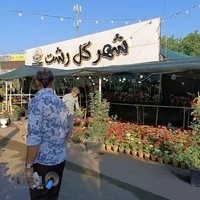 شهر گل