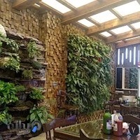پیتزا پارتی