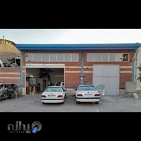 صافکاری و نقاشی برادران خالقی