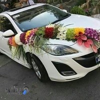 گلفروشی اطلس نبش کنگاور