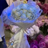 گل یخ - گل فروشی گل یخ | گل‌های آپارتمانی و طبیعی و گل های مصنوعی