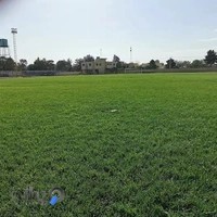 ورزشگاه قدس