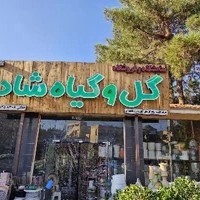 گل و گیاه شاد