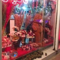 گل فروشی کاکتوس