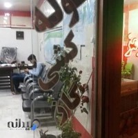 جاوید گاز