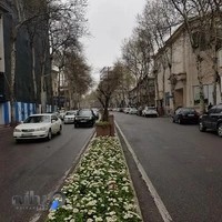 گلسار