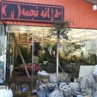 مرکز خرید گل و گیاه نجمه