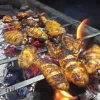 جگرکی عمو فری