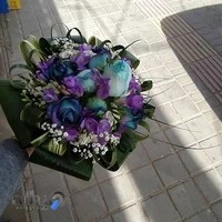 گل رزیتا یزد