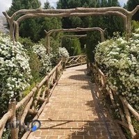 Garden Market