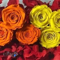 گل فروشی کارن