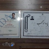 برق و انژکتور فرساد