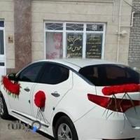 عروس ارا