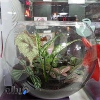 داروخانه دکتر قرنجیک (داروجان)