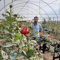 گل و گیاه حاج بهمن دهقانی