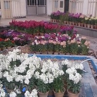 آموزشگاه علمی گلشن راز