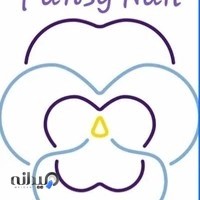 خدمات ناخن پنسی