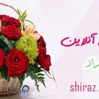 گل فروشی اینترنتی در شیراز : گل فروشی شیراز