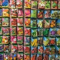فروشگاه گل و گیاه و بذر روکالبا