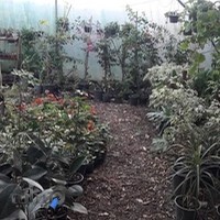 گلسرای طراوت