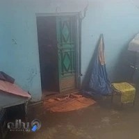 نوآوران بازار طلا