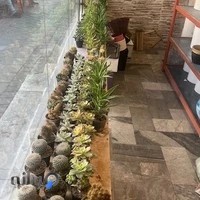 گلفروشی موج گل