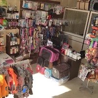 کلینیک دامپزشکی و پت شاپ دایا