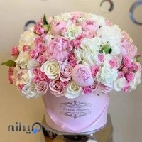 گل مسیحا