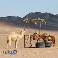 آژانس مسافرتی سفرهای رادینا