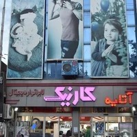 آتلیه تخصصی کارنیک