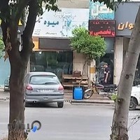 پیرایش نخل