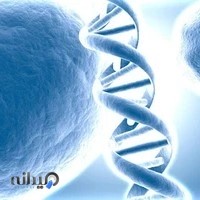 مرکز ژنتیک پزشکی دکتر زعیمی