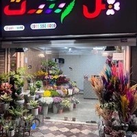 گل رشت