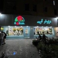 گل فروشي نيلوفرآبي