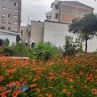 دبستان غیردولتی دخترانه اردیبهشت