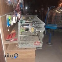 پت شاپ و پرنده سرای علی
