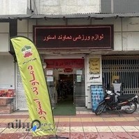 فروشگاه لوازم کوهنوردی و ورزشی دماوند استور