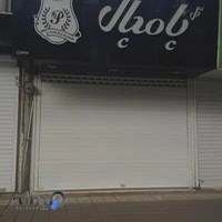 گل پامچال